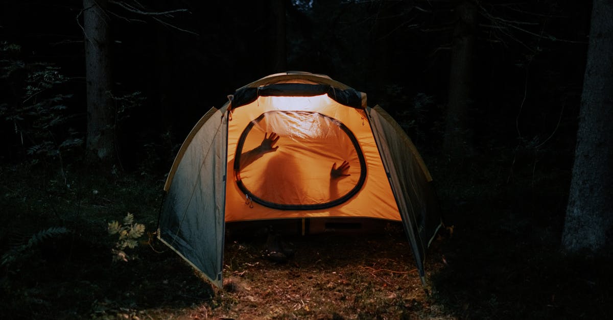 découvrez comment l'exploration sexuelle peut enrichir votre vie intime, renforcer la confiance dans le couple et favoriser l'épanouissement personnel, conseils inclus pour explorer vos désirs en toute sécurité.