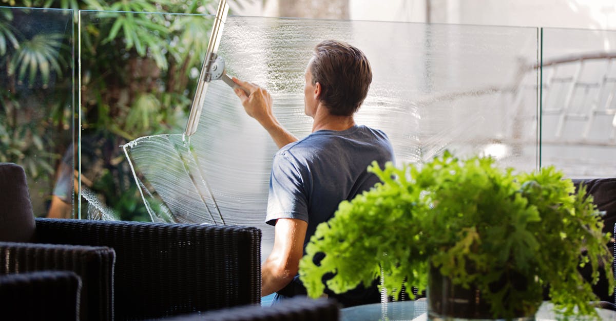 découvrez nos conseils et astuces pour un nettoyage efficace de votre maison ou de votre espace de travail. profitez d’une propreté impeccable grâce à des méthodes simples et adaptées à tous vos besoins.