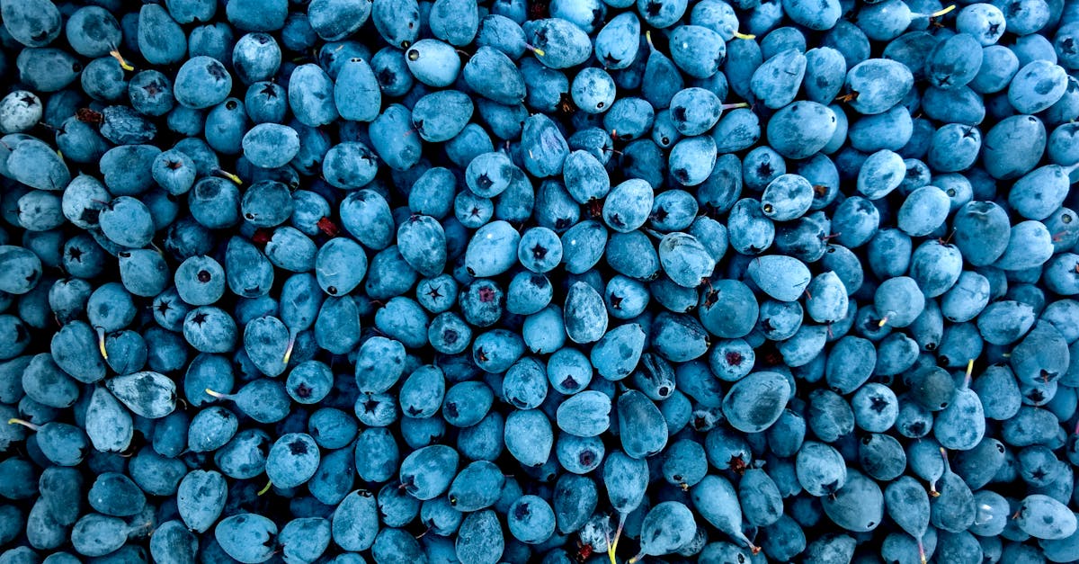 découvrez tout ce qu'il faut savoir sur les lubrifiants comestibles : avantages, utilisations, conseils de choix et sécurité pour une expérience intime gourmande et sans risque.