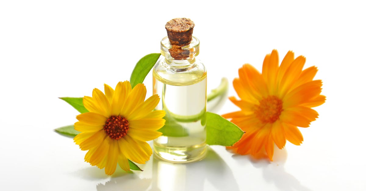 découvrez tout sur le massage érotique : techniques, bienfaits, conseils pour une expérience relaxante et intime. explorez le plaisir du massage sensuel en toute discrétion.
