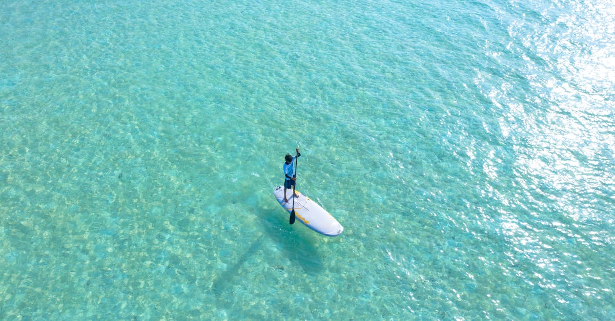 découvrez le paddle, un sport nautique accessible et convivial, idéal pour explorer les plans d'eau tout en s'amusant et en améliorant votre forme physique. conseils, équipements et astuces pour bien débuter.