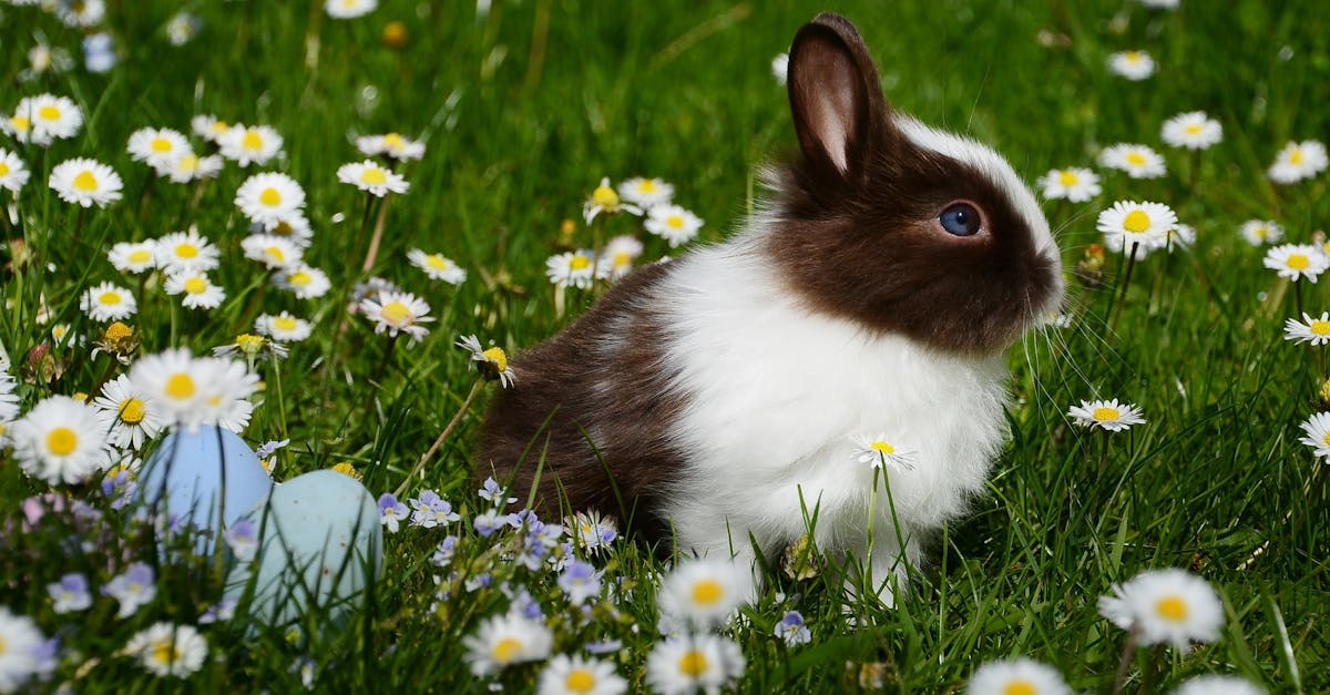 découvrez le rabbit vibrator, un sextoy emblématique conçu pour procurer un double plaisir grâce à sa stimulation clitoridienne et vaginale. idéal pour explorer de nouvelles sensations en toute intimité.