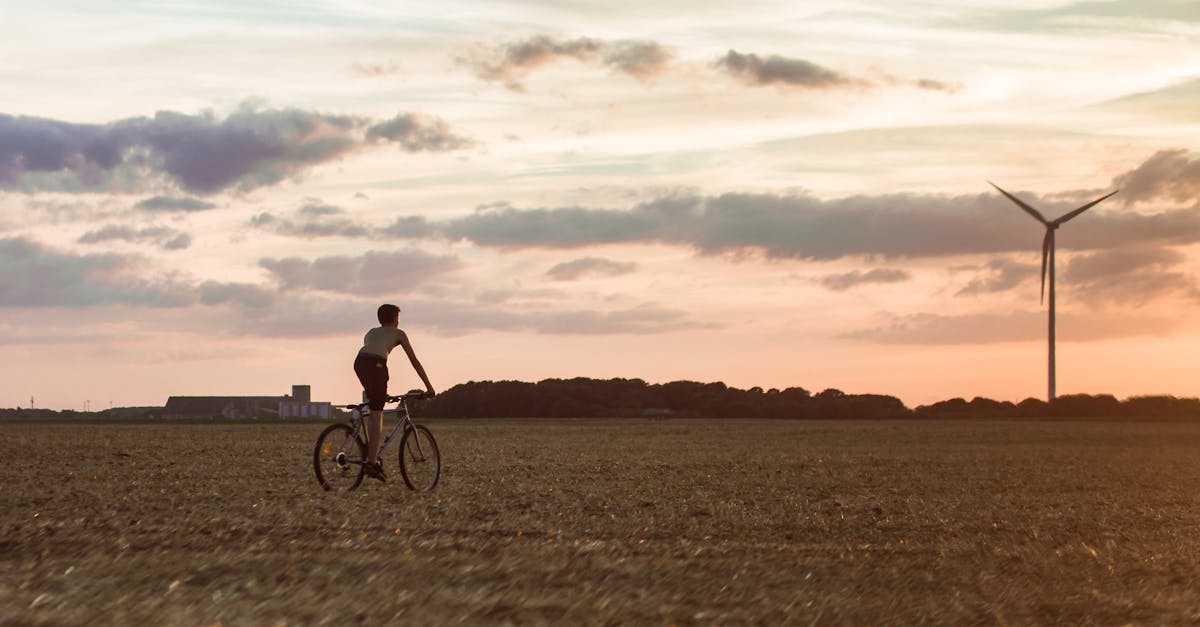 découvrez des solutions, astuces et actualités sur le développement durable pour adopter un mode de vie plus écologique et responsable au quotidien.