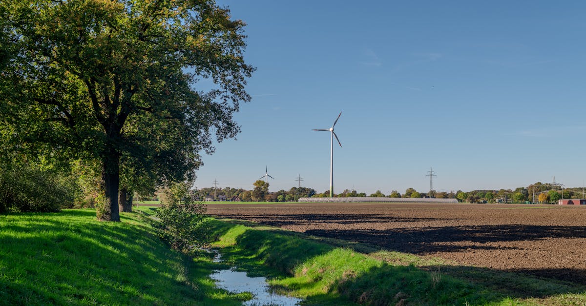 découvrez comment adopter un mode de vie sustainable pour préserver l'environnement, réduire votre empreinte écologique et favoriser un avenir plus responsable et durable.