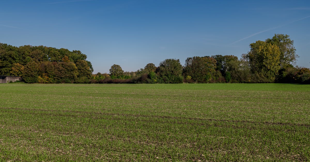 découvrez comment adopter un mode de vie sustainable grâce à des conseils pratiques, des astuces écologiques et des solutions respectueuses de l'environnement pour un futur plus vert.