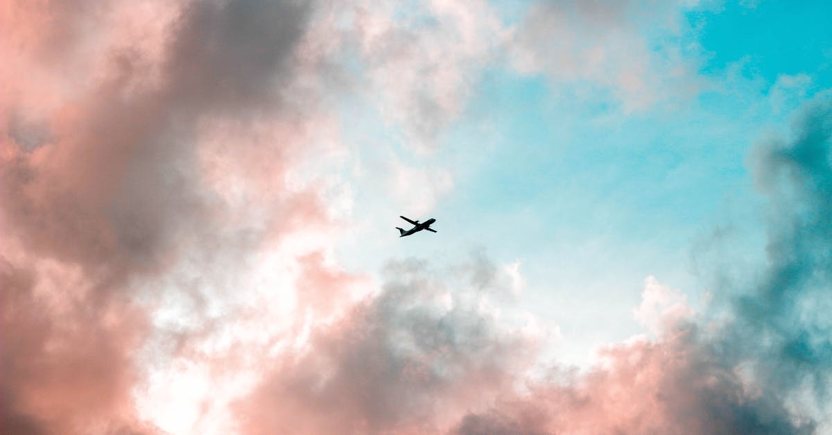 découvrez nos conseils pour voyager discrètement et profiter d’expériences uniques en toute tranquillité. apprenez à préparer votre voyage, choisir vos destinations et rester serein lors de vos déplacements.