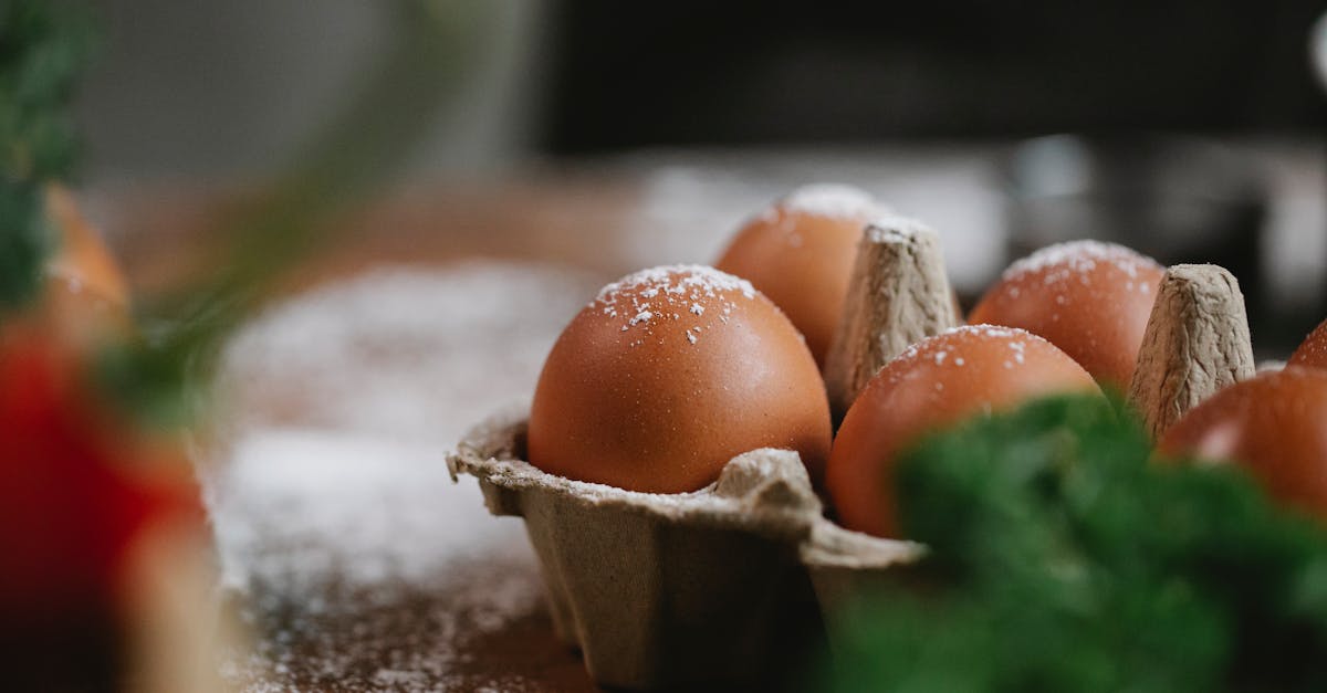 découvrez le vibrating egg, un sextoy innovant et discret pour stimuler votre plaisir en solo ou en couple. profitez de puissantes vibrations et d’une utilisation facile pour des moments intenses et sensuels.