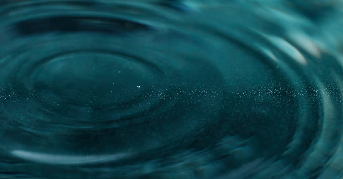 découvrez notre sélection de vibrateurs de haute qualité pour des moments de plaisir intense et personnalisé. explorez nos modèles discrets, innovants et adaptés à tous les besoins. livraison rapide et confidentielle.